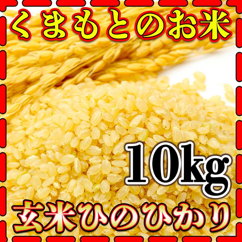 お米 米 10kg 玄米 熊本県産 ひのひかり 新米 令和5年産 ヒノヒカリ あすつく 5kg2個 くまもとのお米 富田商店 とみた商店