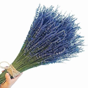 裝飾 幹花束 花束薰衣草干花花束家居用品家庭室內客廳裝飾品擺件生日禮物diy