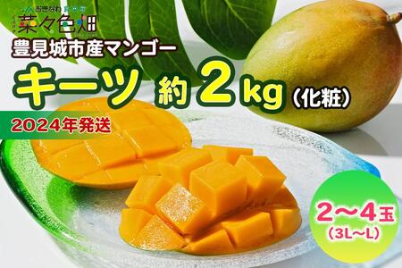 キーツマンゴー約2kg（化粧）