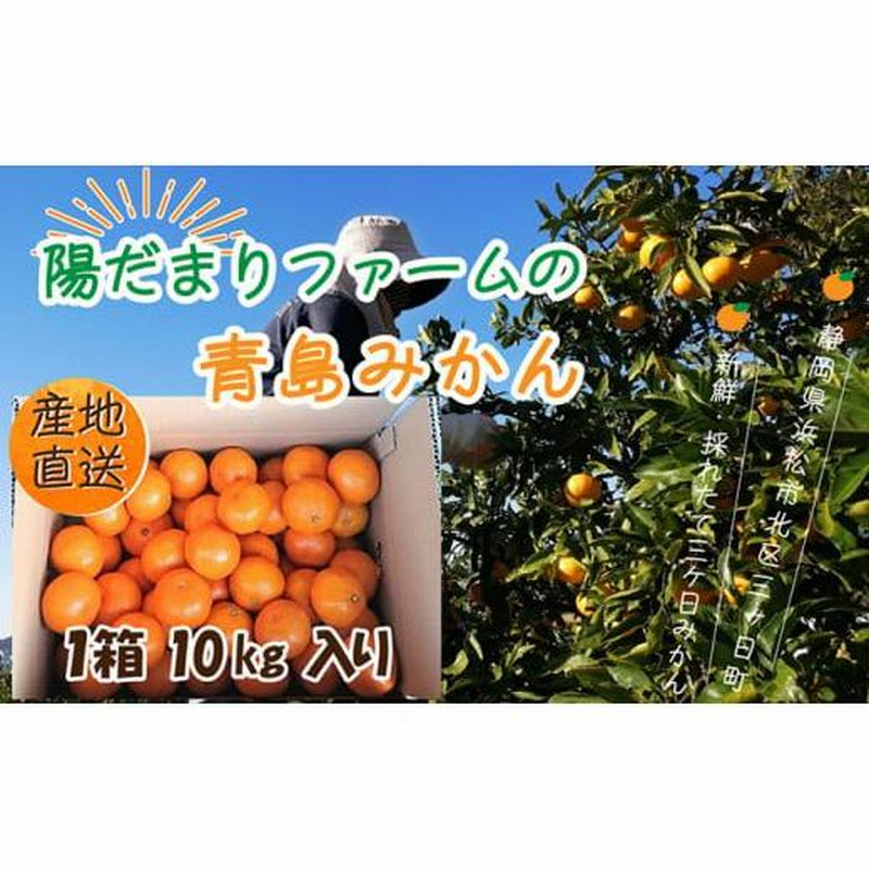 ふるさと納税 果物類 みかん 静岡県 浜松市 先行予約 2026年1月 ふるさと納税 果物類 みかん 静岡県 浜松市 先行予約 2026年1月