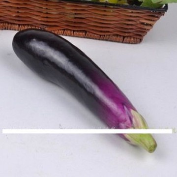 [協貿國際]   仿真茄子