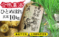 《令和５年度産》武田家のお米 ひとめぼれ（玄米）10kg＜合鴨農法＞   米 ５キロ ２袋 アイガモ