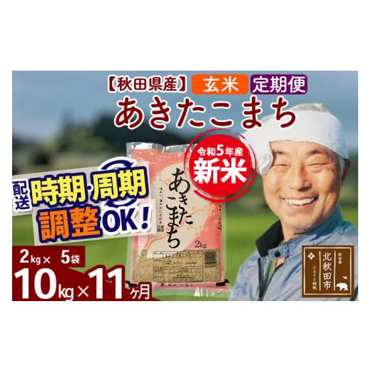 ふるさと納税 秋田県 北秋田市 《定期便11ヶ月》＜新米＞秋田県産 あきたこまち 10kg(2kg小分け袋) 令和5年産 配送時期選べる 隔月お届けOK お米 おお…