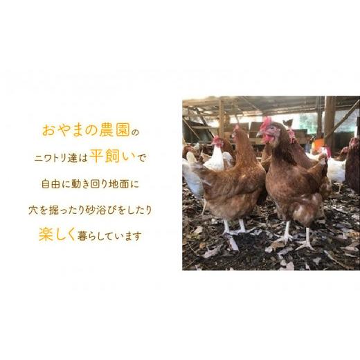 ふるさと納税 静岡県 掛川市 ５７４４　掛川で育てた 自然卵 みんなのたまご 3種 食べ比べ セット 20個 ） おやまの農園ほーんびる（ 平飼い たまご 生卵 卵…