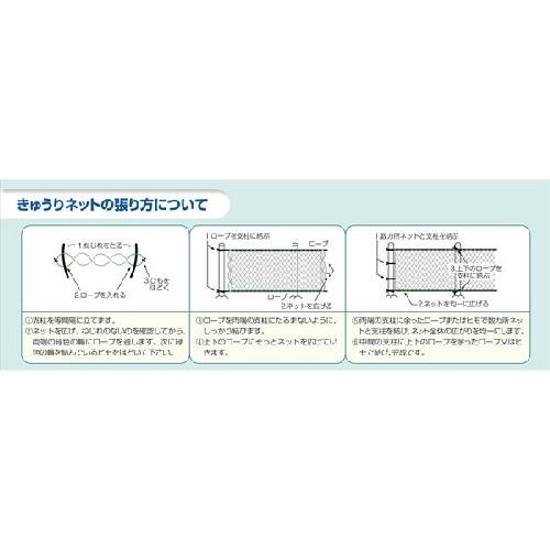 ダイオ きゅうりネット 目合18cm 赤黒 4.2m×18m