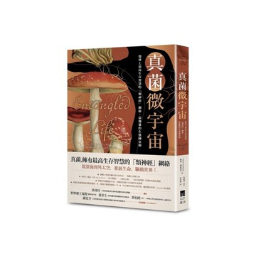 真菌微宇宙：地球上最高生存智慧的「類神經」網絡，最優雅的生態鍊金師