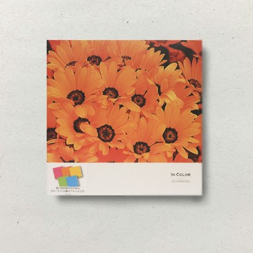 【Nakabayashi】NCL 手繪相本-橘花 L-DB211-OR(原廠正貨)