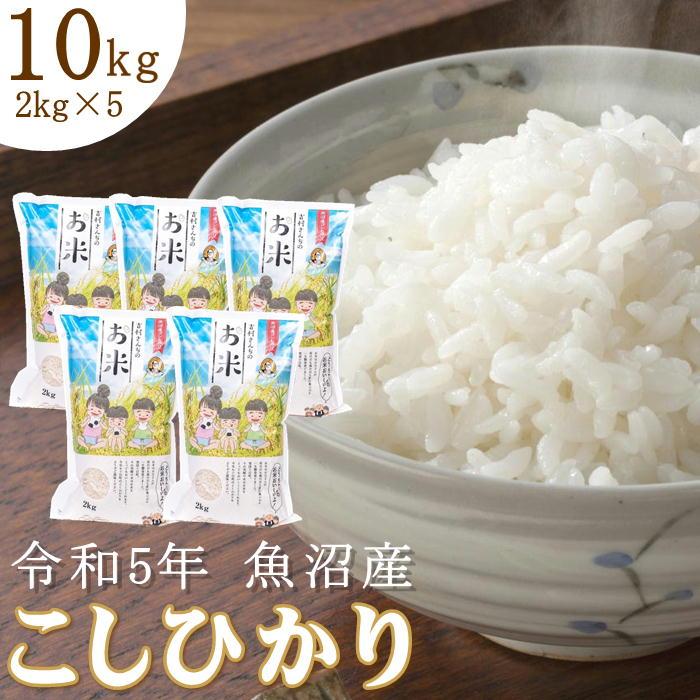 昔ながらの従来品種 令和5年産 新米 魚沼産コシヒカリ 吉村さんちのお米 精米 10kg (2kg×5袋)  非BL 産地直送 sea farm