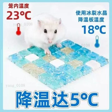夏天必備✨降溫冰涼墊 倉鼠冰墊 倉鼠冰涼墊 倉鼠散熱墊 寵物避暑 凝膠冰墊 倉鼠降溫用品夏天散熱板水晶冰墊兔子涼蓆金絲熊