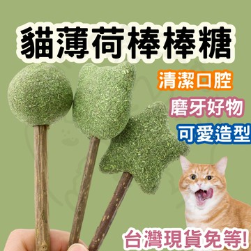 【12HR台灣出貨】貓薄荷 棒棒糖 貓薄荷棒棒糖 木天蓼 貓咪磨牙棒 潔齒 貓咪玩具 貓薄荷玩具 貓咪玩具 貓玩具 靜音