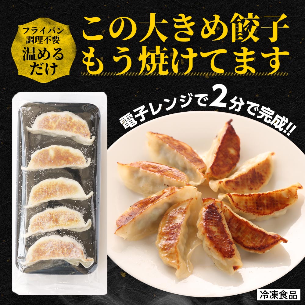 (メーカー希望小売価格2500円→2190円) 松軒中華食堂「餃子」5個×5パック 送料無料 レンジで完成 餃子 ぎょうざ ギョウザ 調理済 時短 保存食 お取り寄せ