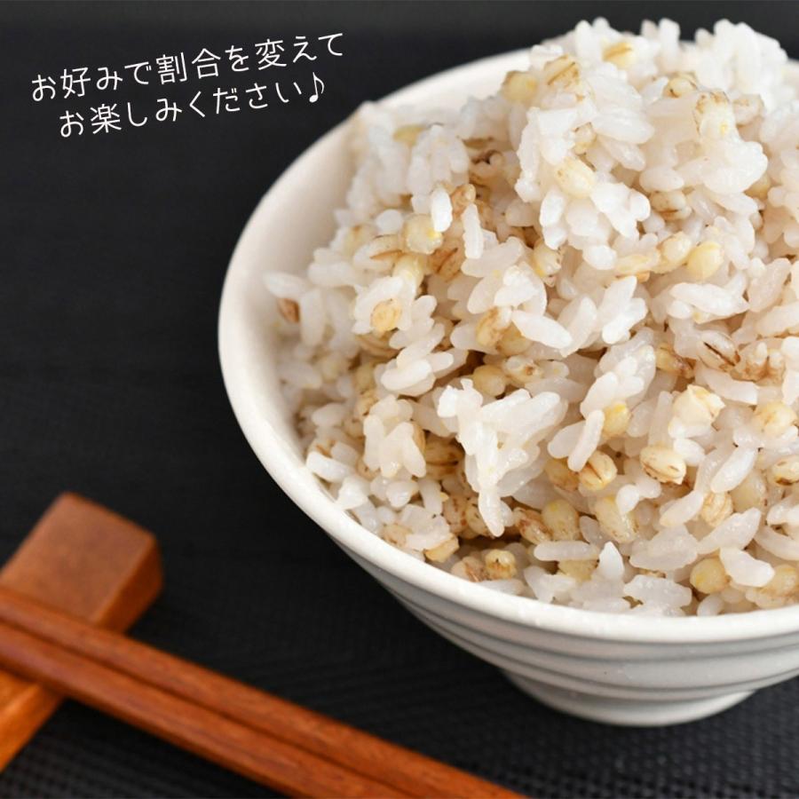 紫もち麦 国産 ダイシモチ 3kg (300g×10袋) 滋賀県産