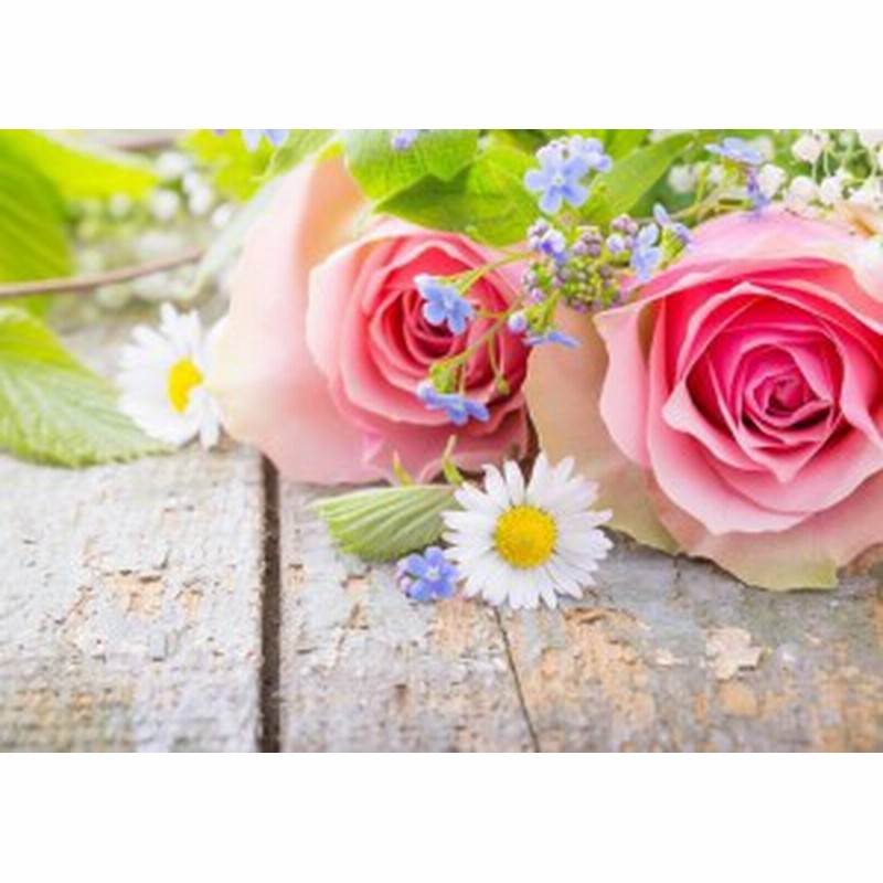 絵画風 壁紙ポスター ピンクのバラ アップ カモミール 薔薇 ハイブリッド ティー モダンローズ Fros 014a2 版 594mm 4mm 通販 Lineポイント最大1 0 Get Lineショッピング
