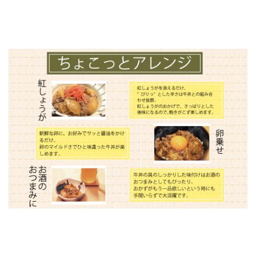 ふるさと納税 和歌山県 広川町 熊野牛 牛丼の具 3食セット 　牛肉 牛丼 熊野牛 牛丼の具 国産牛