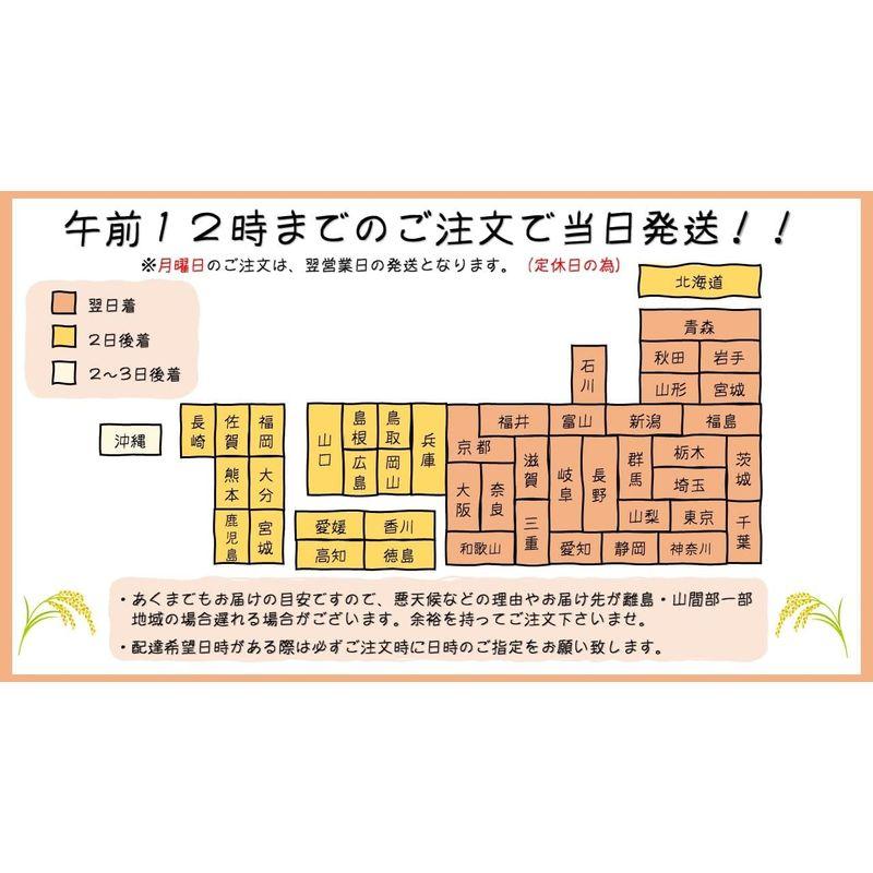 令和4年産 茨城県産コシヒカリ白米２７kg（９×３）