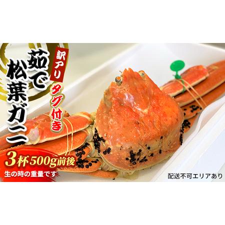 ふるさと納税 松葉ガニ　茹で　タグ付き　訳アリ　500g前後　3杯《2023年11月10日以降順次発送》[ 蟹 かに カニ 松葉蟹 国産 冷蔵 京都府宮津市