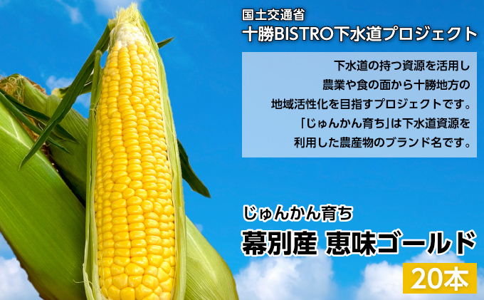 とうもろこし 恵味ゴールド 20本「じゅんかん育ち」北海道 十勝 幕別町