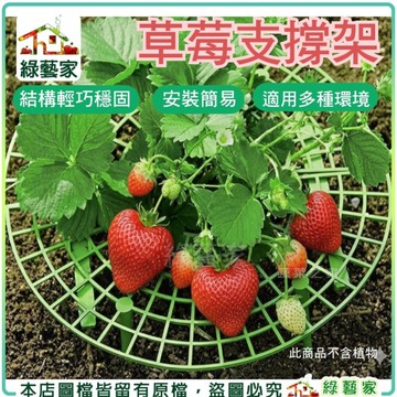 【綠藝家】草莓支撐架 草莓架高墊 草莓架 防爛果 草莓託盤 草莓架 水果支架 草莓支架 水果支架