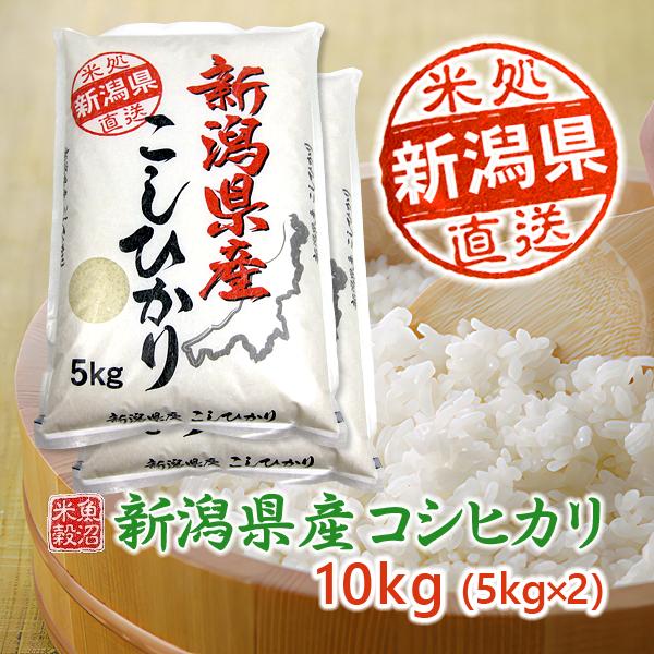 新米 令和5年産 米 10kg 5kg×2  お米 白米 コシヒカリ 新潟県産コシヒカリ 令和5年産 送料無料(北海道、九州、沖縄は除く)離島は発送不可