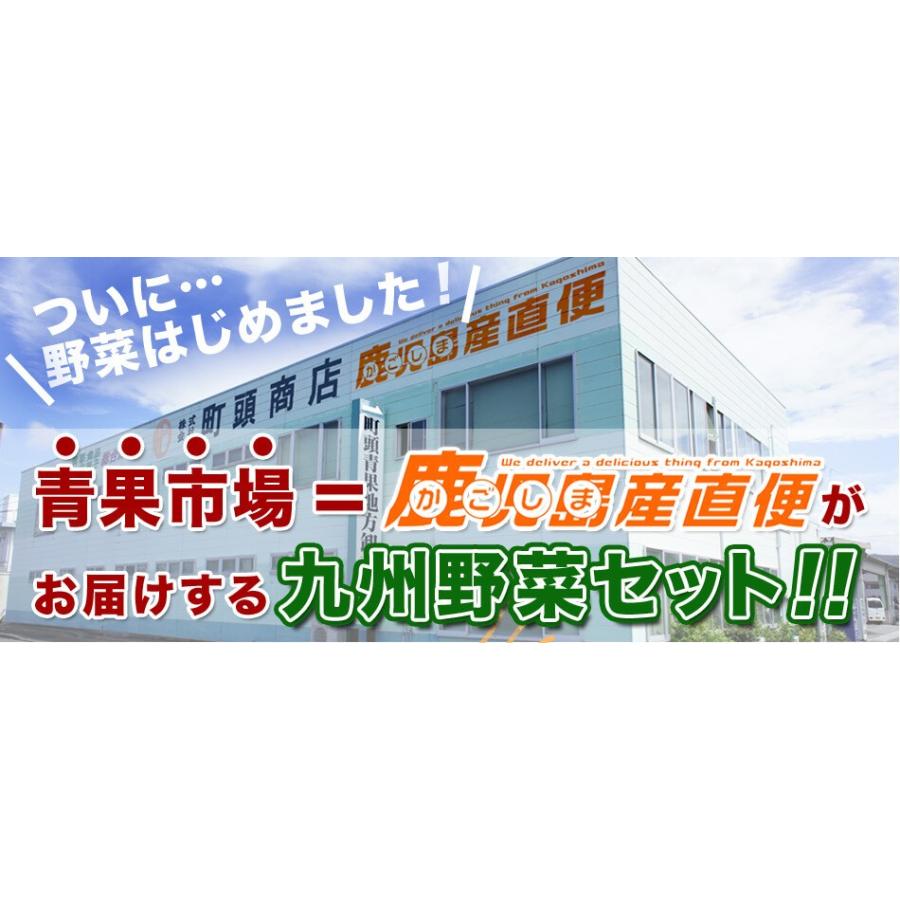 野菜セット 九州産 12品目 詰め合わせ 国産 お試し