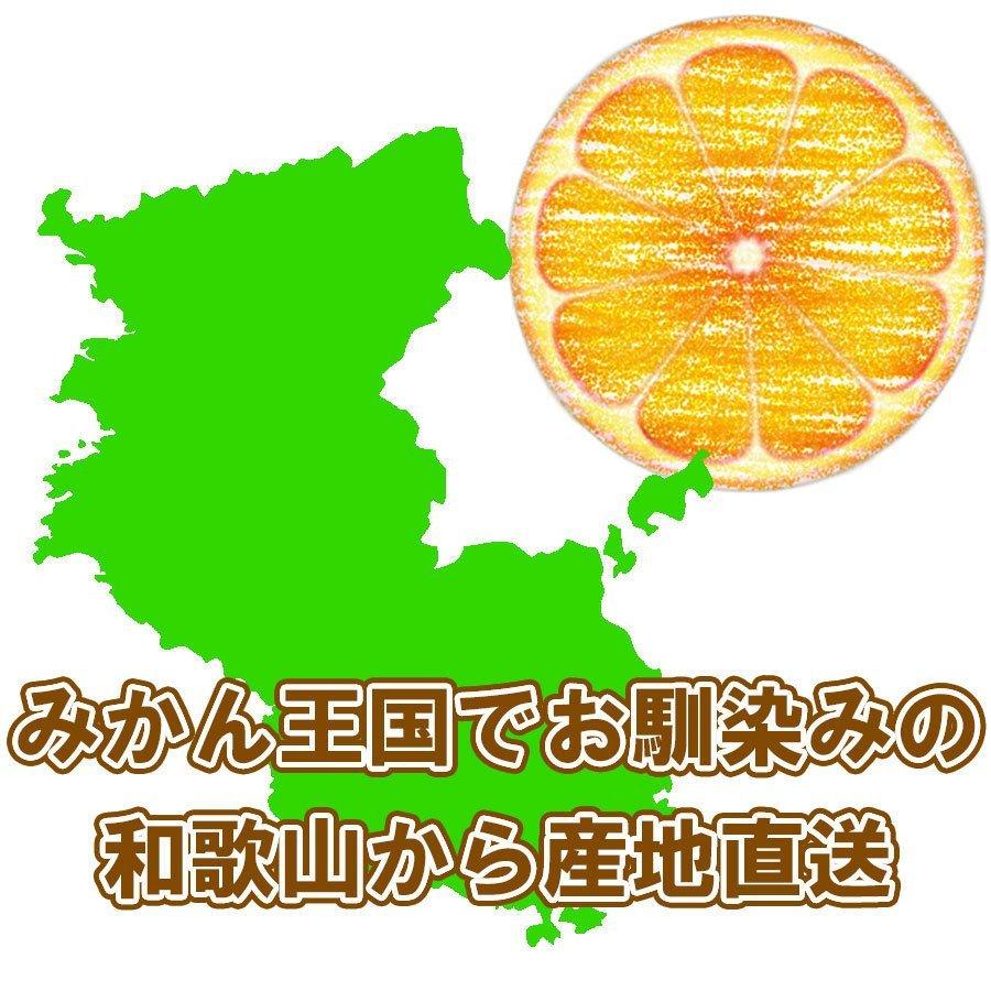 みかん 2kg~10kg 訳あり ブランド 和歌山 有田みかん ありだみかん 農家直送 ギフト お歳暮 温州みかん フルーツ 果物