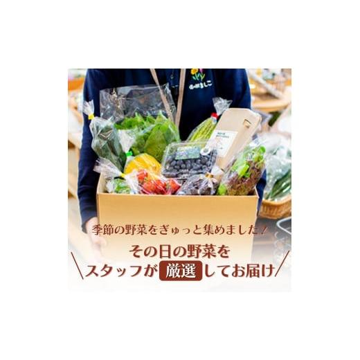 ふるさと納税 栃木県 益子町 AA001　旬の採れたてぜいたく野菜セット　卵付き♪　2人用