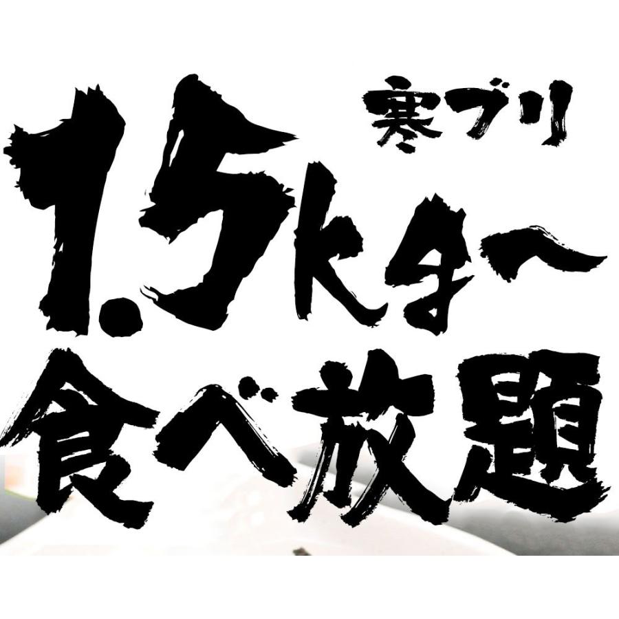 寒ブリ 半身 おろし済み 約1.5kg〜 九州産 お刺身用 チルド ぶり 鰤 ぶりしゃぶ 照焼き 忘年会 お歳暮 業務用 食品 おかず お弁当