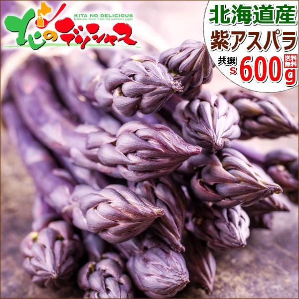 北海道産 アスパラガス パープルアスパラ 600g (S-Mサイズ) アスパラ 紫 パープル ギフト 野菜 母の日 北海道グルメ 送料無料 お取り寄せ