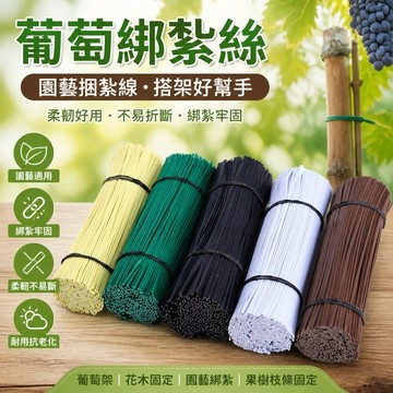 【可打統編】葡萄綁紮絲 紮帶電鍍鋅鐵絲芯 包塑鐵絲 園藝捆紮線 捆綁帶條 葡萄架搭架線  園林種植必備綁紮神器 GQVR