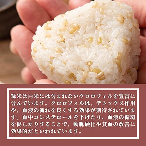 雑穀米本舗 国産 緑米 30kg(500g×60袋)