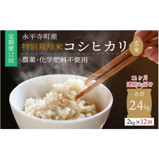 ふるさと納税 福井県 永平寺町  令和5年度産 永平寺町産 農薬不使用・化学肥料不使用 特別栽培米 コシヒカリ 2kg×12ヶ…