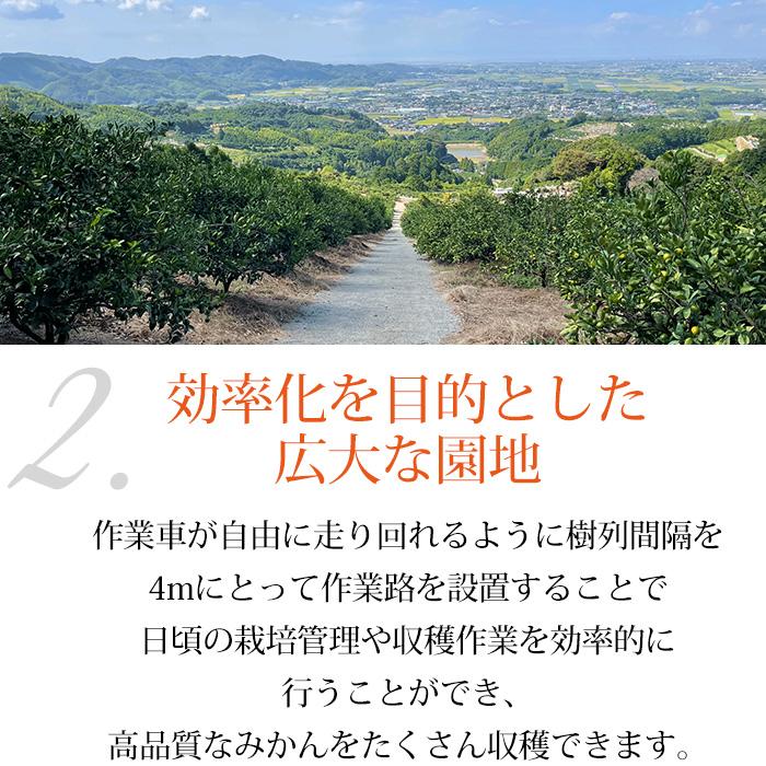 みかん 福岡県みやま市 大黒園早生みかん 秀品 約5kg Lサイズ 32〜40個