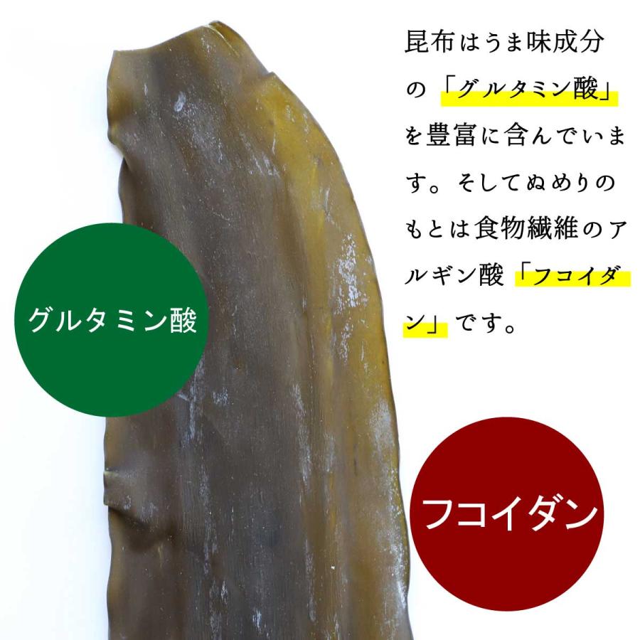 昆布パウダー 50g 瓶 粉末昆布 昆布粉