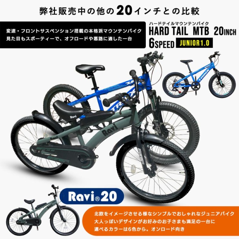 子供用 自転車 アウトレット 20インチ 22インチ 小学1年生 小学生 入学 