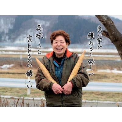 ふるさと納税 長谷川さんが作った長芋（約3kg） 青森県鰺ヶ沢町