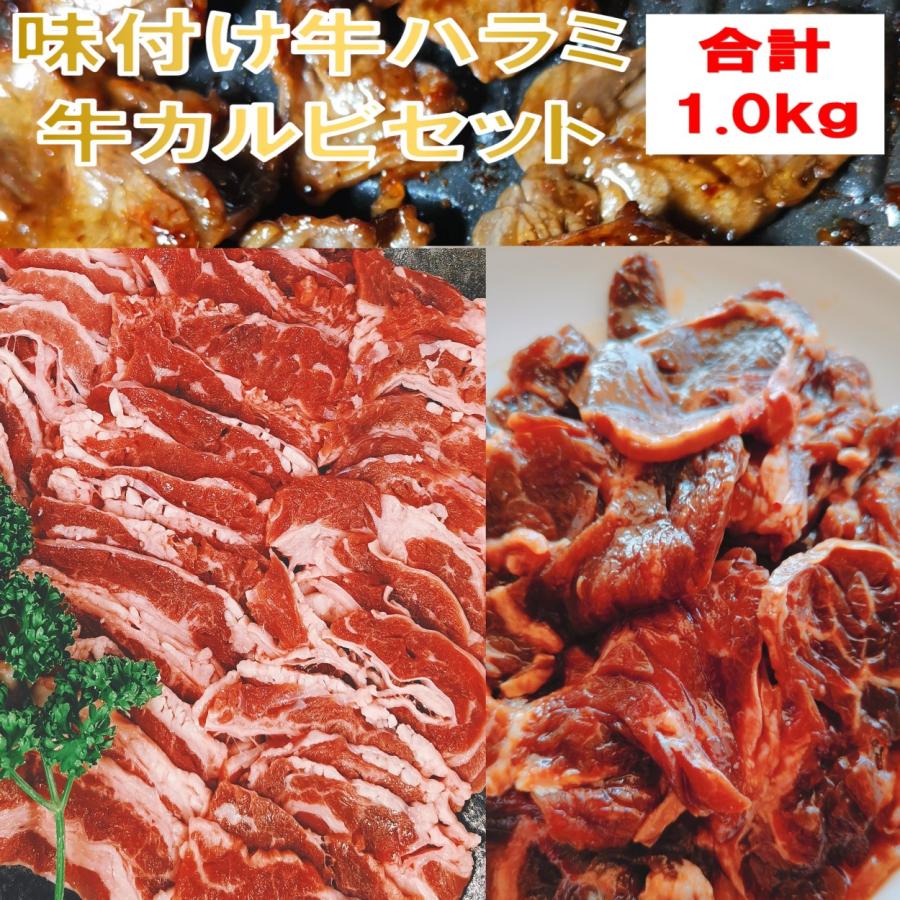 肉 バーベキュー 食材 牛肉 焼肉セット バーベキュー 肉 味付け ハラミ BBQ 肉 バラ カルビ バーベキューセット 食材 焼肉 BBQ 食材 1kg 4〜6人前