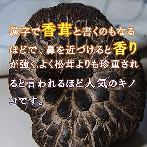 乾燥香茸100g 香茸 乾燥 コウタケ 獅子茸 イノハナ 天然きのこ 中国雲南産