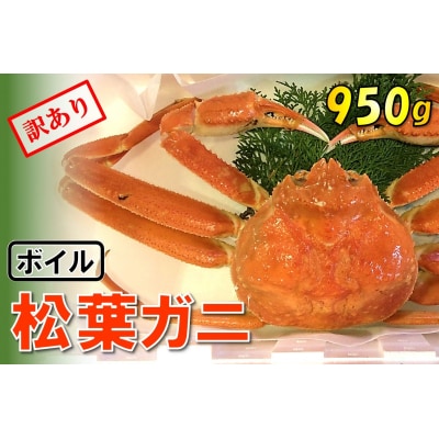 足1本なしボイル松葉ガニ(特大950g)訳あり