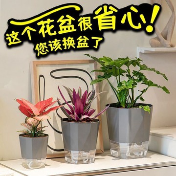 優品在臺🍰再啓新款免澆水自吸水懶人網紅綠蘿月季加侖盆塑料陽臺蘭花多肉盆RT