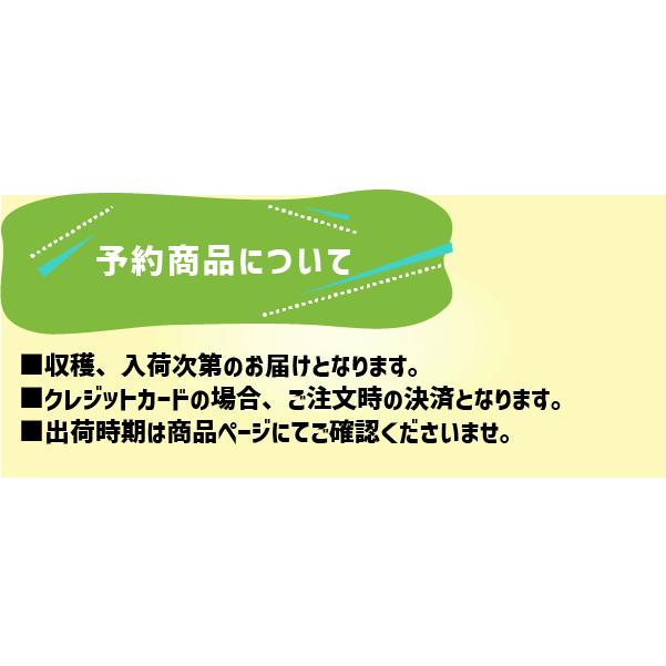 和歌山県産 龍神村産 生しいたけ 約400g 椎茸 焼き シイタケ 龍神椎茸 鍋 天ぷら 煮物