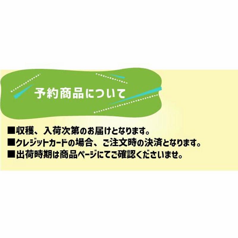 群馬県産 キャベツ 6玉 2Lサイズ 数量限定 大玉 市場直送 群馬県産 キャベツ 6玉 2Lサイズ 数量限定 大玉 市場直送