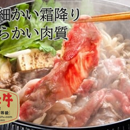 飛騨牛 牛肉 すき焼き しゃぶしゃぶ ロース スライス 500g×2 計1kg A5 和牛