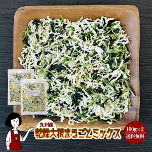 乾燥大根まるごとミックス 100g×2〔チャック付〕／九州産 乾燥野菜 大根 メール便 送料無料 チャック付 九州産 ミックス 国産 ボイル済