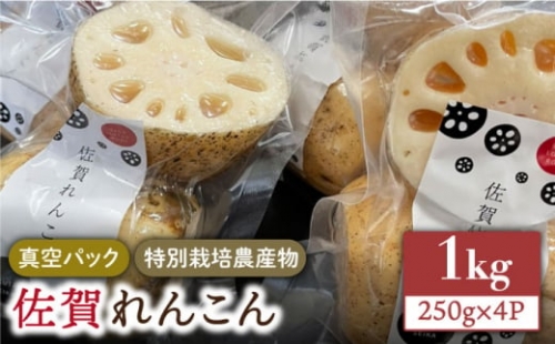 ＜地元江北町産＞佐賀 れんこんパック 1kg 250g×4  [HAE013]