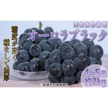 ふるさと納税 ぶどう 2024年 先行予約 オーロラブラック 約2kg 4〜5房 贈答用 ブドウ 葡萄 フルーツ 果物 岡山 赤磐市産 農マル園芸 あかいわ農.. 岡山県赤磐市