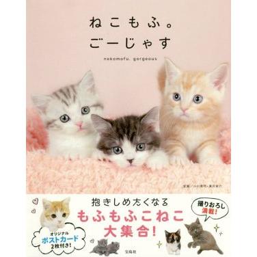 写真集　ねこもふ。ごーじゃす／小川晃代,湯沢祐介