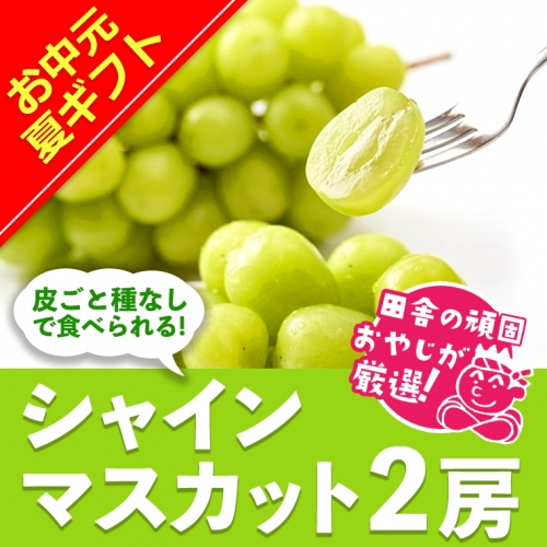 ＜お中元熨斗付＞田舎の頑固おやじが厳選！シャインマスカット2房 [BI56-NT]