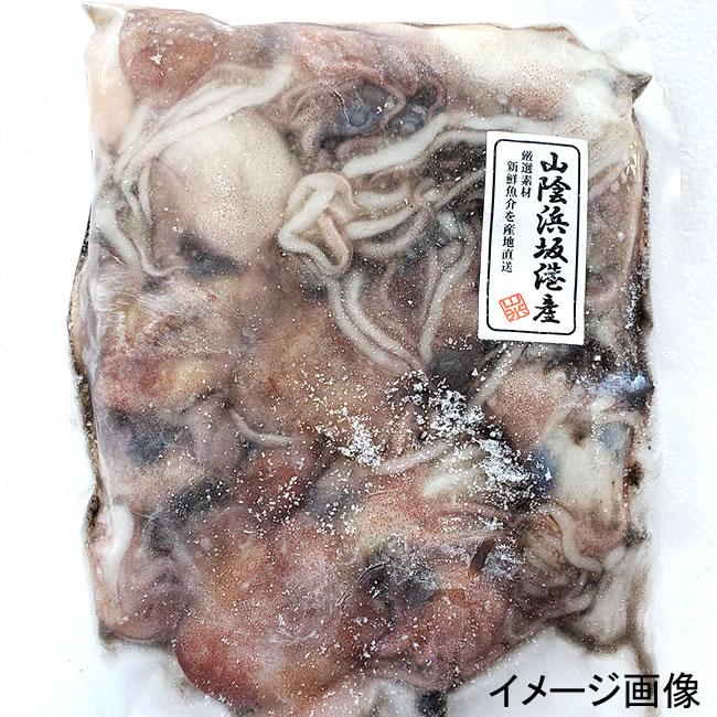 ミミイカ（冷凍）　中大サイズ　500ｇ前後（5-7匹入）　子持ち混じり　（浜坂産）　（耳いか・耳イカ・烏賊・ぼうずいか・ボウズイカ）