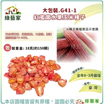 【綠藝家】大包裝G41-1.紅蜜寶水果玉米種子18克(約150顆)(有藥劑)