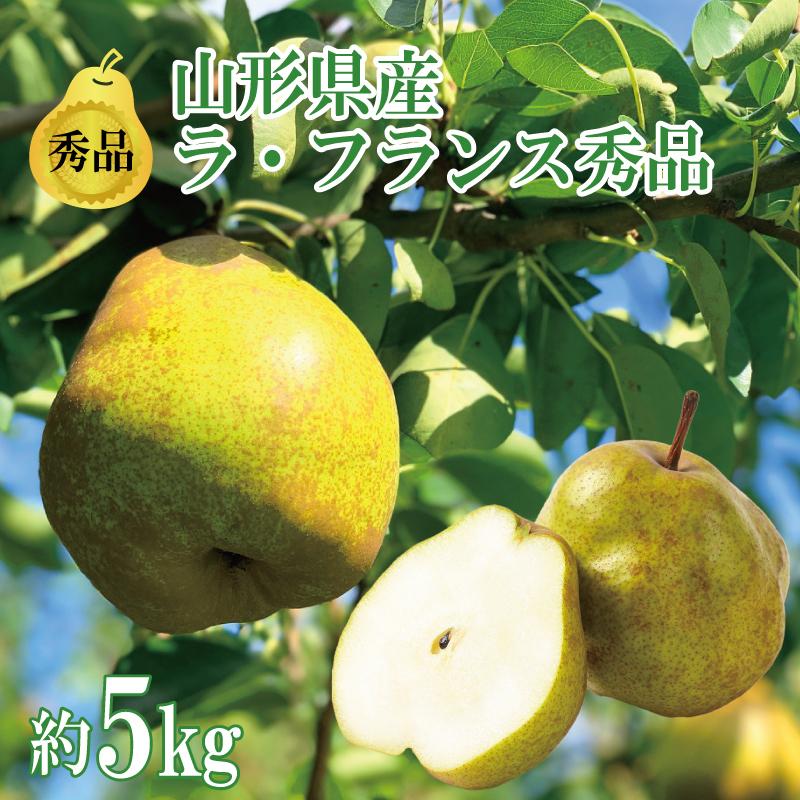 お歳暮 ラ・フランス 秀品　約5kg 10玉〜24玉 山形県産 ラフランス 絶品 高級 送料無料 果物 ギフト 贈答品 プレゼント 2023